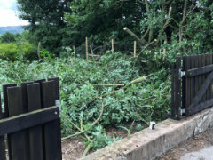 de Wynters Developments Gallery